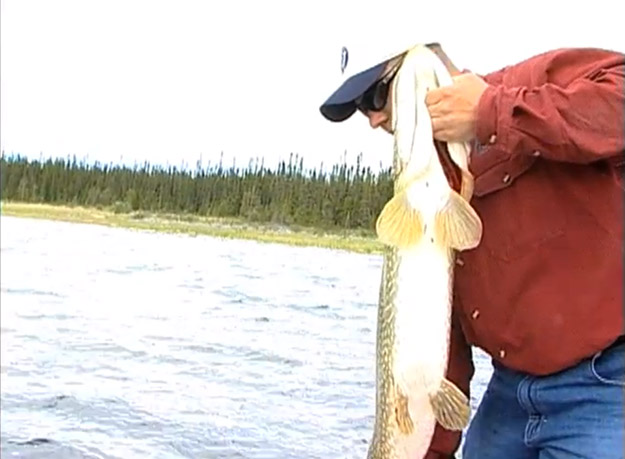 Simply_Fishing_s_Greatest_Pike_Video_Ever