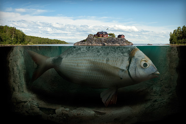 Erik Johansson – Fishy island